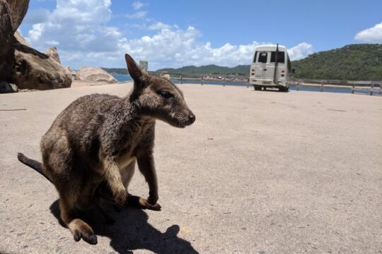 New Year’s Day long weekend in Magnetic Island