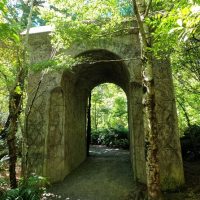 Shore Excursions