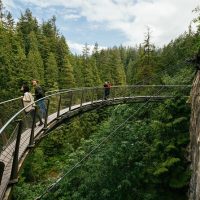 Shore Excursions