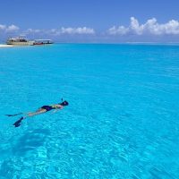 Private & Custom Tours