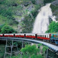 Trolley Tours