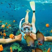 Full-day Tours