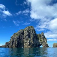 Ports of Call Tours
