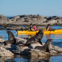 Cruises, Sailing & Water Tours