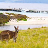 Walking & Biking Tours