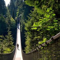 Luxury Tours