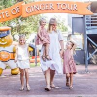 Bus & Minivan Tours
