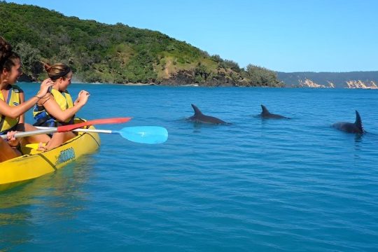 Easter in Noosa & Sunshine Coast