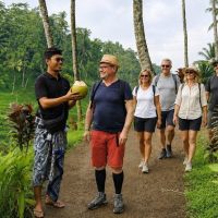 Cultural Tours