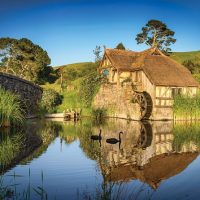 Walking & Biking Tours