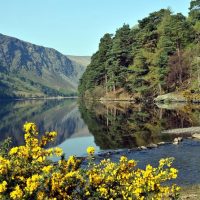 Day Trips & Excursions