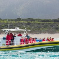 Eco Tours