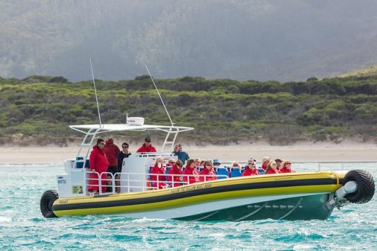 Halloween in Wilsons Promontory National Park