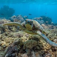 Self-guided Tours & Rentals