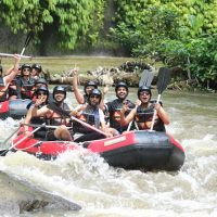 Boat Tours