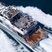 Catamaran Cruises