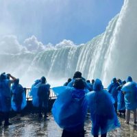 Cruises, Sailing & Water Tours