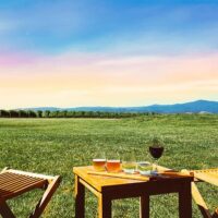 Wine Tasting & Winery Tours