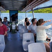Half-day Tours