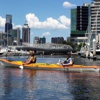 Kayaking & Canoeing