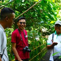 Plantation Tours
