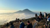 ⭐⭐⭐⭐⭐ Unforgettable Sunrise Trek and Coffee Plantation Visit