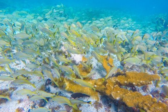 New Year’s Day long weekend in Riviera Maya & the Yucatan