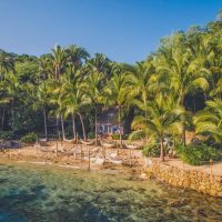 Cruises, Sailing & Water Tours