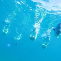 Snorkeling