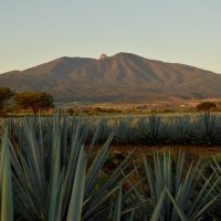 Wine Tasting & Winery Tours