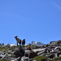 Photography Tours