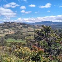 Eco Tours