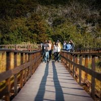 Day Trips & Excursions