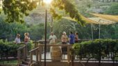 Wine Tasting designated driver included