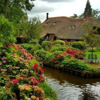 Day Trips & Excursions