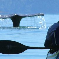 Kayaking & Canoeing