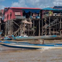 Luxury Tours
