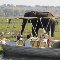 Luxury Tours