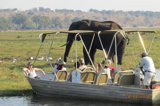 Hanukkah in Victoria Falls