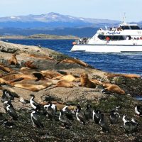 Boat Tours