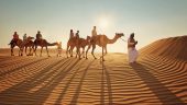 Ride through desert, camel rides, bbq dinner and neat show