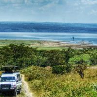 Safaris