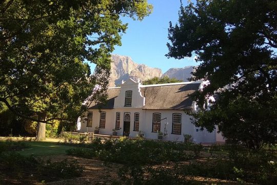Halloween in Franschhoek