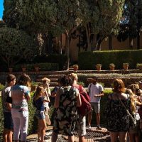 Half-day Tours