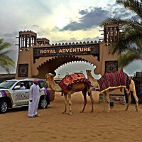 Half-day Tours