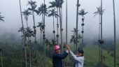 A Must-See Experience: Cocora Valley and Salento