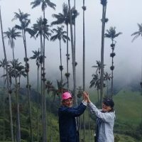Cultural & Theme Tours