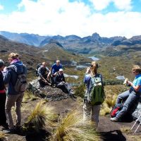 Tours & Sightseeing