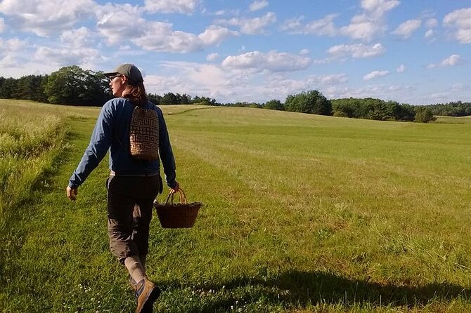 Guided Foraging Mushroom Hunting Experiences From 229 99 Cool 