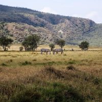 Day Trips & Excursions
